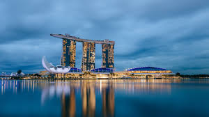 lĩnh vực hoạt động